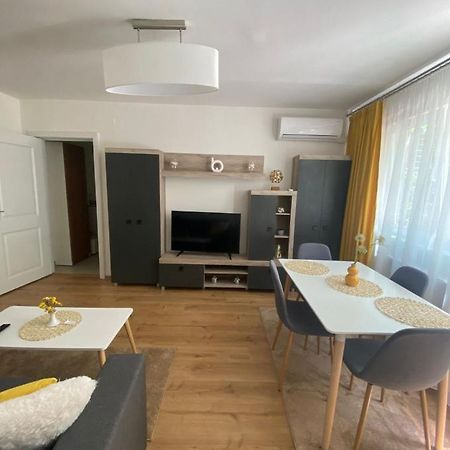 Apartamentul Gaviota ティミショアラ エクステリア 写真