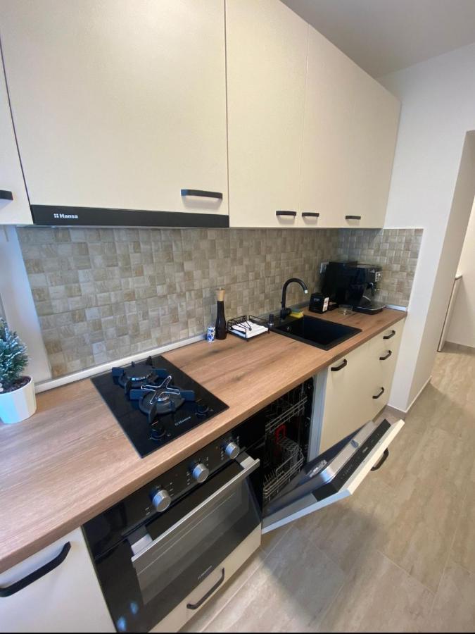 Apartamentul Gaviota ティミショアラ エクステリア 写真