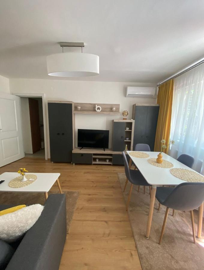 Apartamentul Gaviota ティミショアラ エクステリア 写真