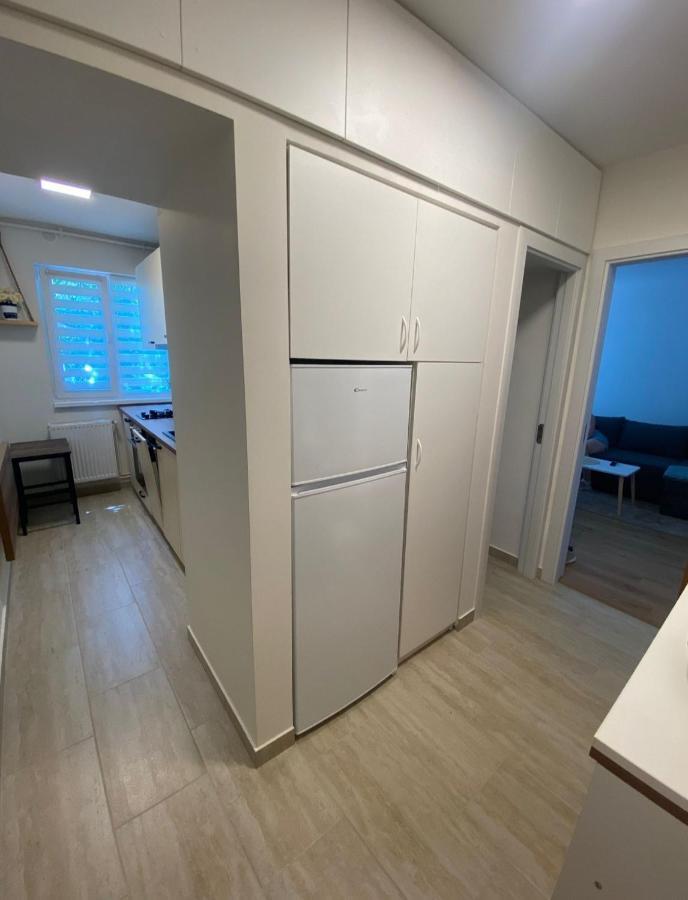 Apartamentul Gaviota ティミショアラ エクステリア 写真