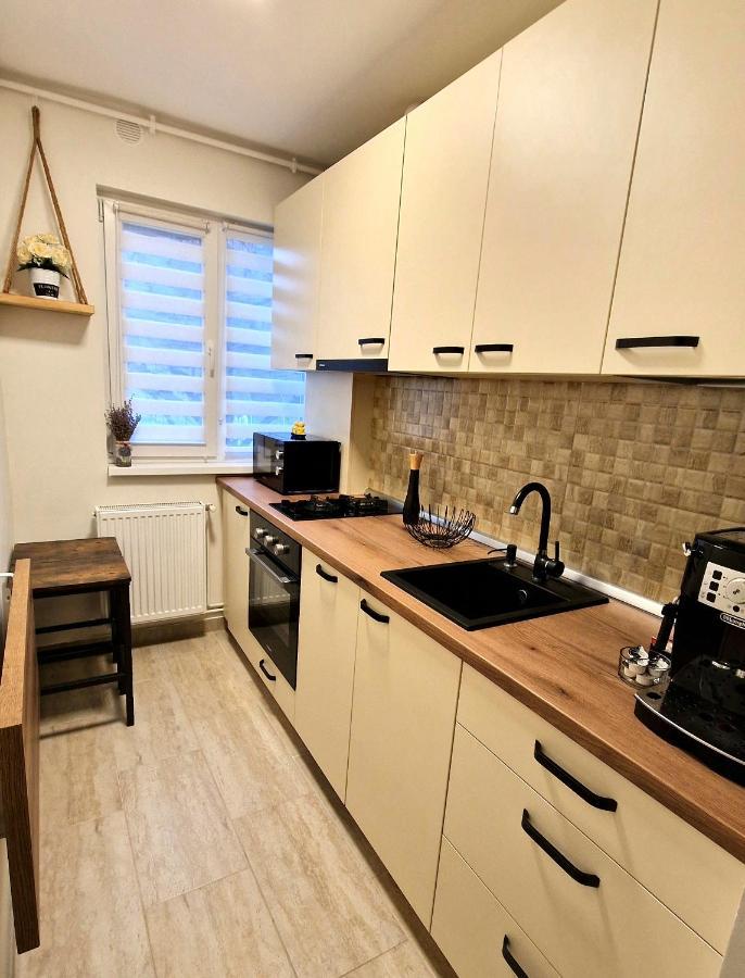 Apartamentul Gaviota ティミショアラ エクステリア 写真