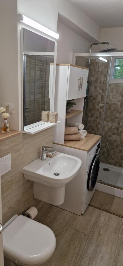 Apartamentul Gaviota ティミショアラ エクステリア 写真