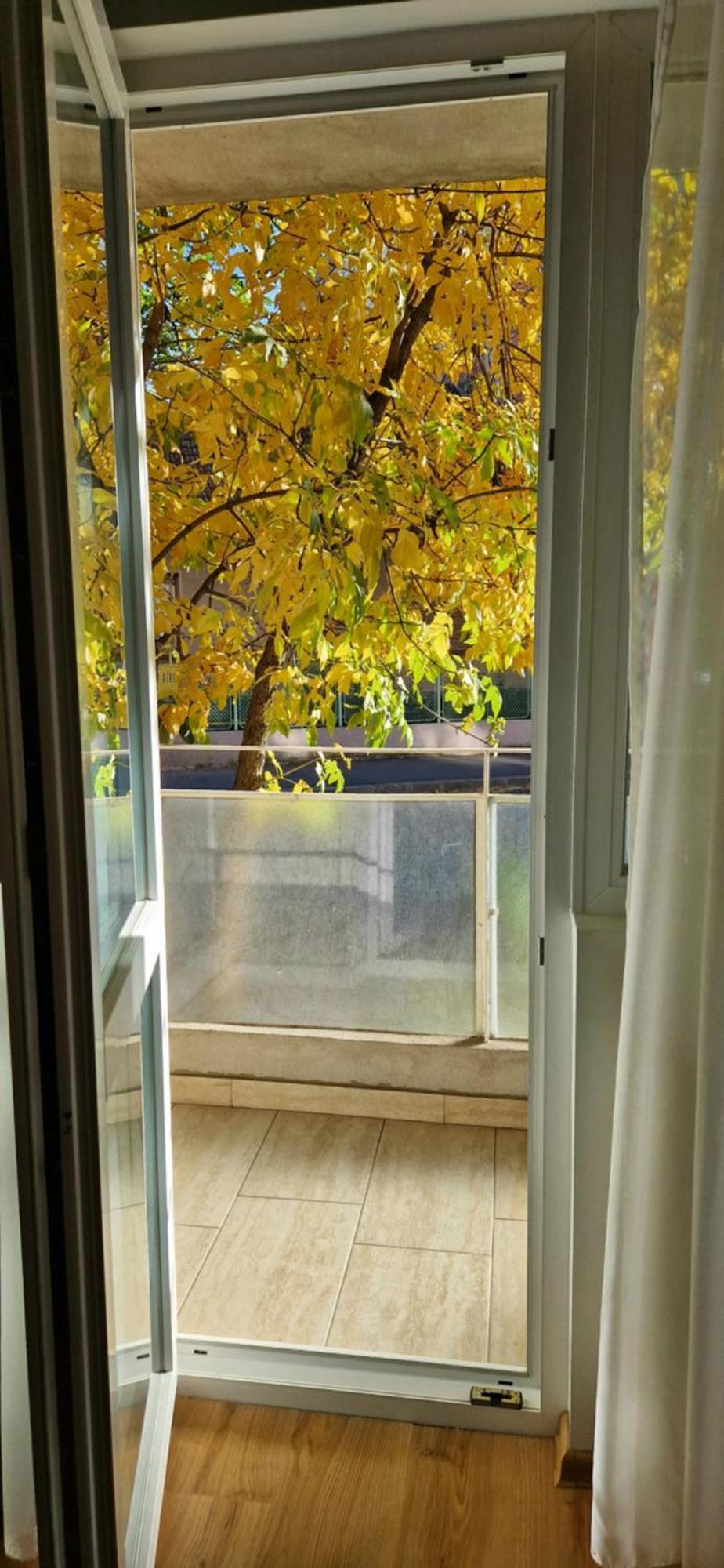 Apartamentul Gaviota ティミショアラ エクステリア 写真