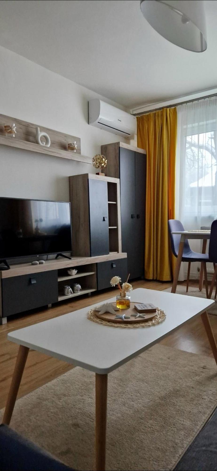 Apartamentul Gaviota ティミショアラ エクステリア 写真